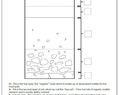 Worksheets Soil Profile Worksheet collection of soil horizon worksheet sharebrowse sharebrowse