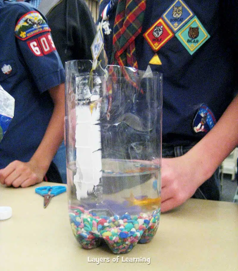 rocks and fish in the bottom of the pop bottle