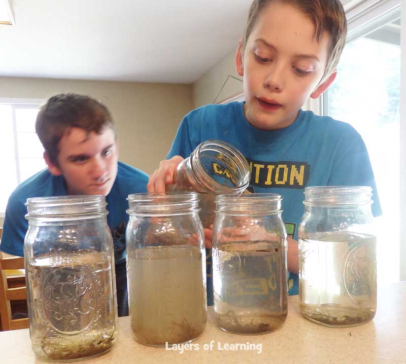 Add various pollutants to jars of pond water.  Observe how the pollutants affect the algae growth.
