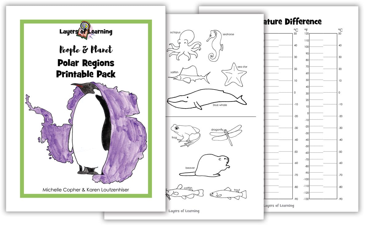 Polar Regions Printable Pack samples